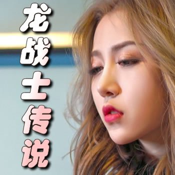 龙战士传说